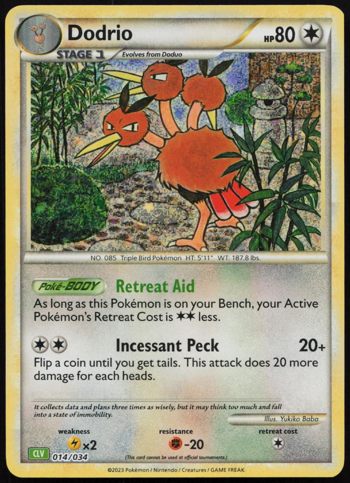 Dodrio 014/034 Holo Classic Collection Trading Card Game Classic Pokemon NM