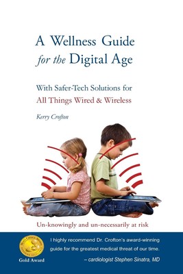 A Wellness Guide for The Digital Age: With Safer-tech Solutions for All Thin...