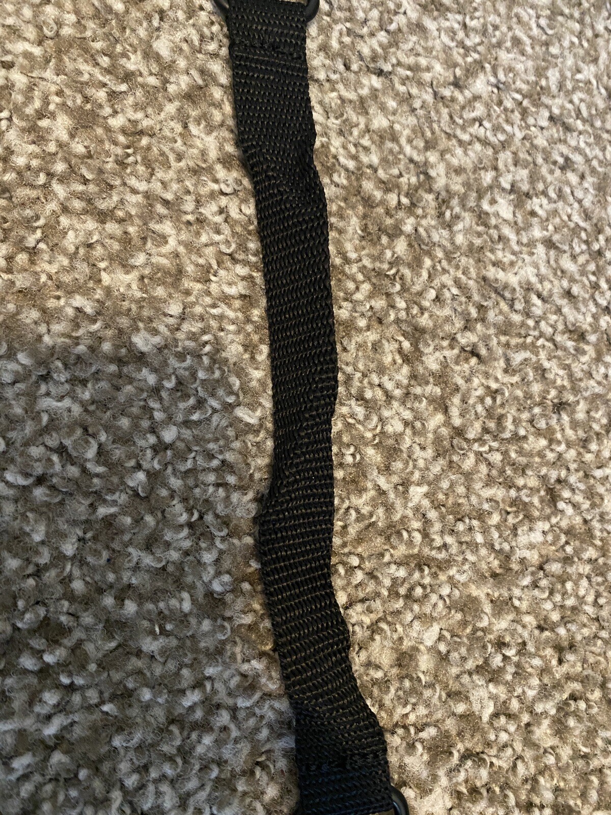Picture 5 of 5