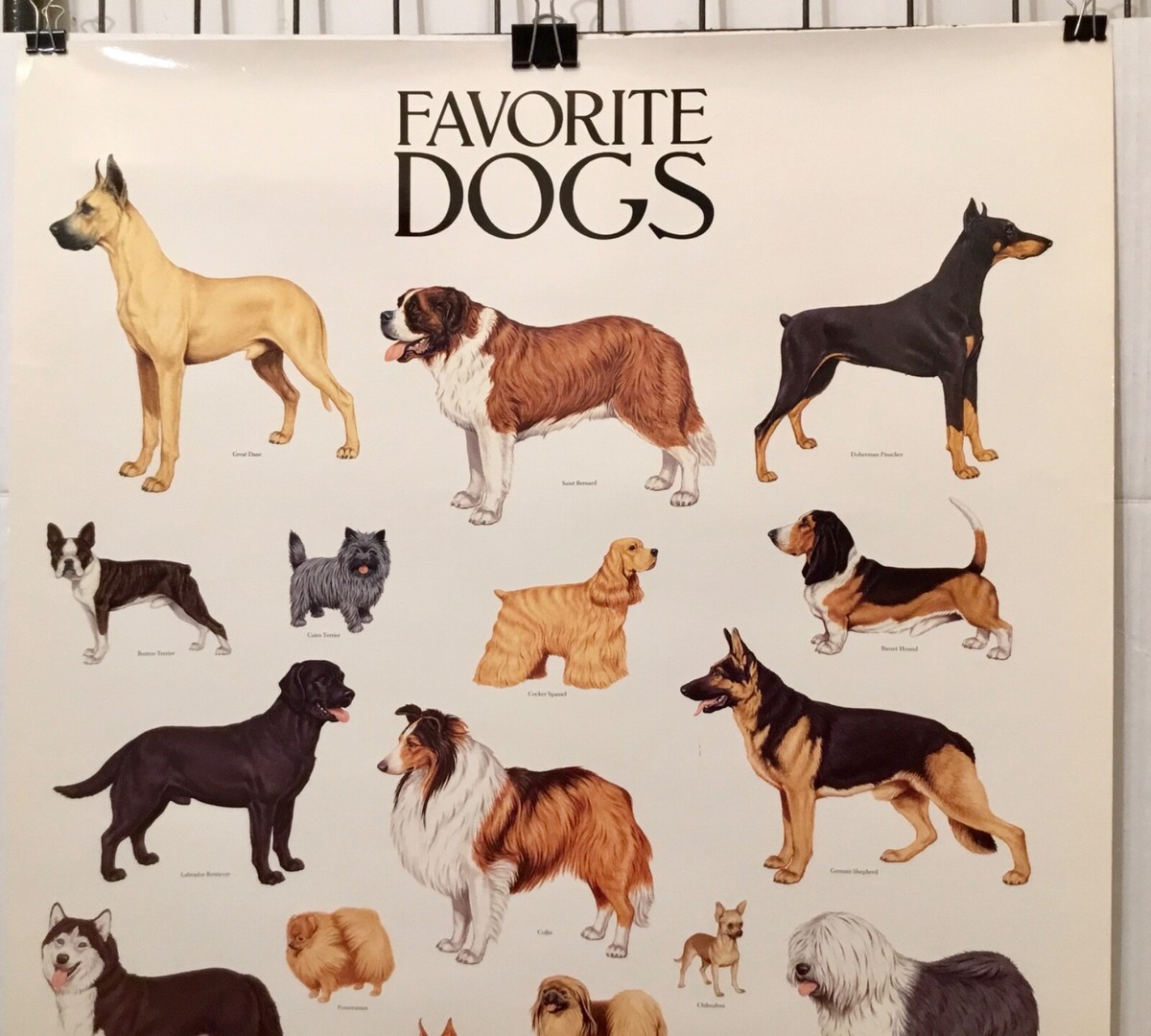 1988 RARE DOVE PUBLICATIONS FAVORITE DOG GLOSSY POSTER BY JOHN