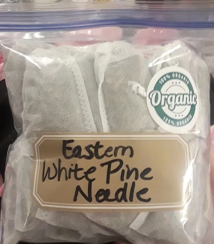 Lot: 20 Pc Organic Eastern White Pine Needle Tea Bags Suramin Fresh Harvest Bag
