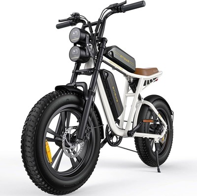  ENGWE Front Suspension Foldable E-bike 100OW Motor Peak Power Electric Bikes