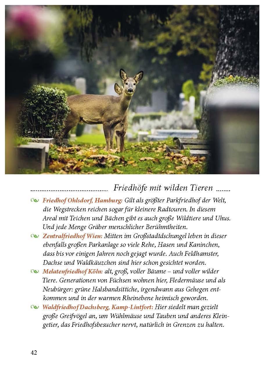 Thumbnail - Der Friedhof Lebt, Sigrid Tinz