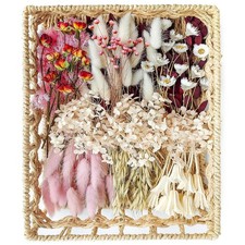xin's convey DIY Natural Dried Flower Set for Vase, Bulk Boho Dried Flowers w...