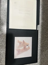 Polar Dance Limited First Ed 233/1500 Signed Boxed Cloth Bound Hardcover Book