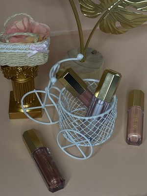 Lip Gloss Shade Liquid Lip Gloss Set Pink Nude Brown Shine with Gold Caps