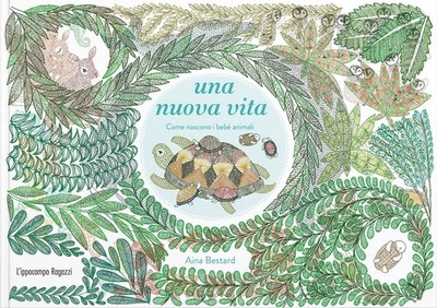 Aina Bestard Bücher - Ein neues Leben. Wie Tierbabys geboren werden