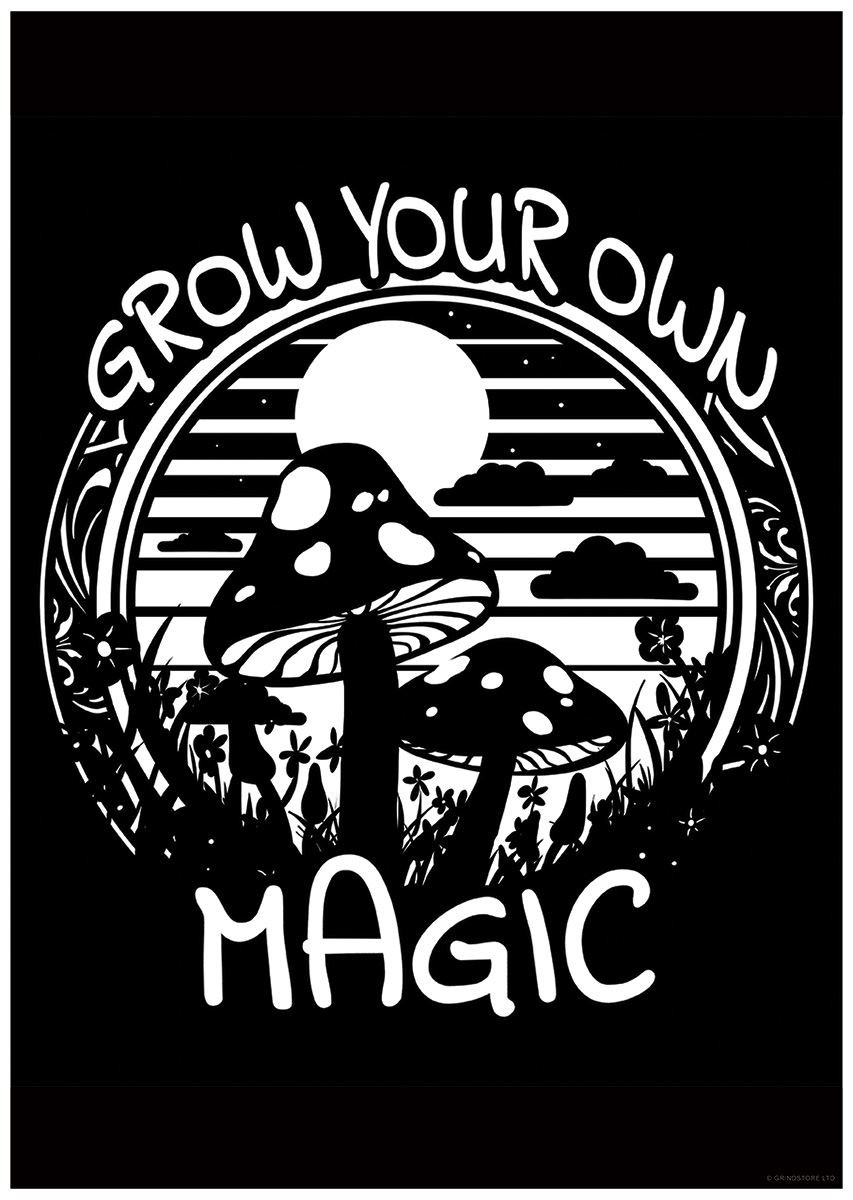 Laminated Mushrooms Grow Your Own Magic Mini Poster