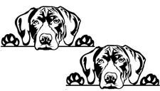 Peeking Lab Dog Two Black Vinyl Decal Car Truck Windows Laptop Camper Notebook