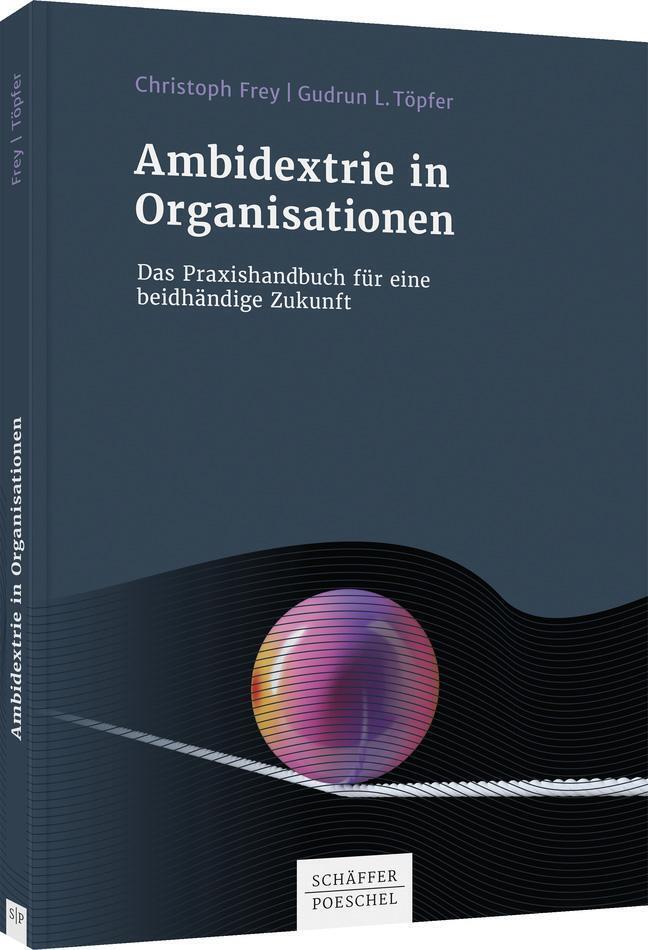 Ambidextrie In Organisationen Das Praxisbuch Für Eine Beidhändige