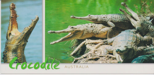 XXL-Ansichtskarte: Krokodile in Australien - Zdjęcie 1 z 1