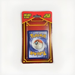 Pokemon Mystery Pack of 10 Cards (2022 MJ Holding)