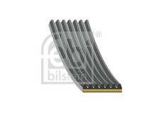 Febi Bilstein Keilrippenriemen 176365 FüR Renault ScÉNic 4 Kangoo 2 KW0 FW0 1