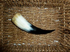 Wikinger Horn Trinkhorn versch.Gr&ouml;&szlig;en 0,2l,0,3l,0,5l ideal f&uuml;r den Met Honigwein