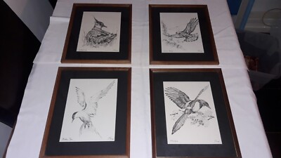 4 UK Ornithologische Drucke Vögel Arktische Seeschwalbe Kiebitz Elster Adler signiert König