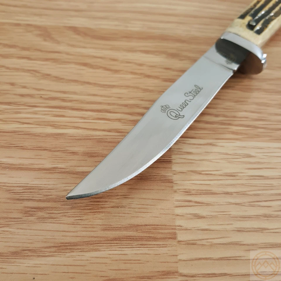 Cuchillo fijo Queen Winterbottom 3,75" acero inoxidable clip hoja mango hueso 89WB Foto 3 de 4