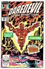 Daredevil #261 Marvel Comics 1988 Human Torch Vintage Man Without Fear VF/NM