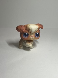 LPS #37  Poodle Littlest Per Shop Authentic Brown Dog Hasbro 2005