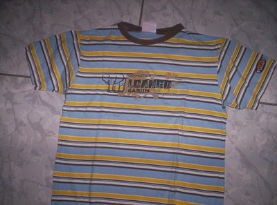Tolles T-Shirt  für Boys, gestreift mit Motiv Gr.140-146