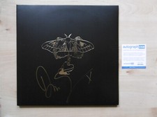 David Gray Autograph Signed LP Cover "Gold in a Brass Age" Vinyl ACOA