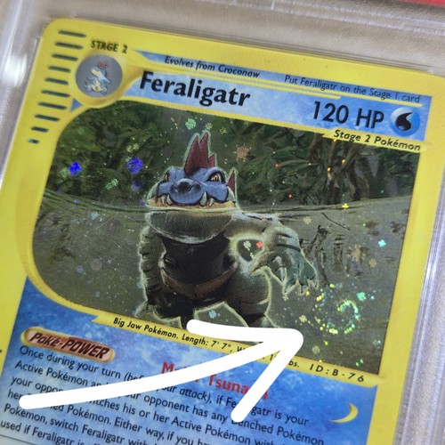 Feraligatr graded PSA 6 for sale on eBay