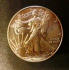 2009 WALKING LIBERTY AMERICAN EAGLE .999 FINE SILVER DOLLAR COIN 1oz. $1 USA BU