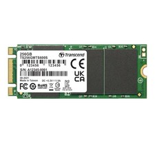 HARD DISK Transcend SATA M.2 256 GB