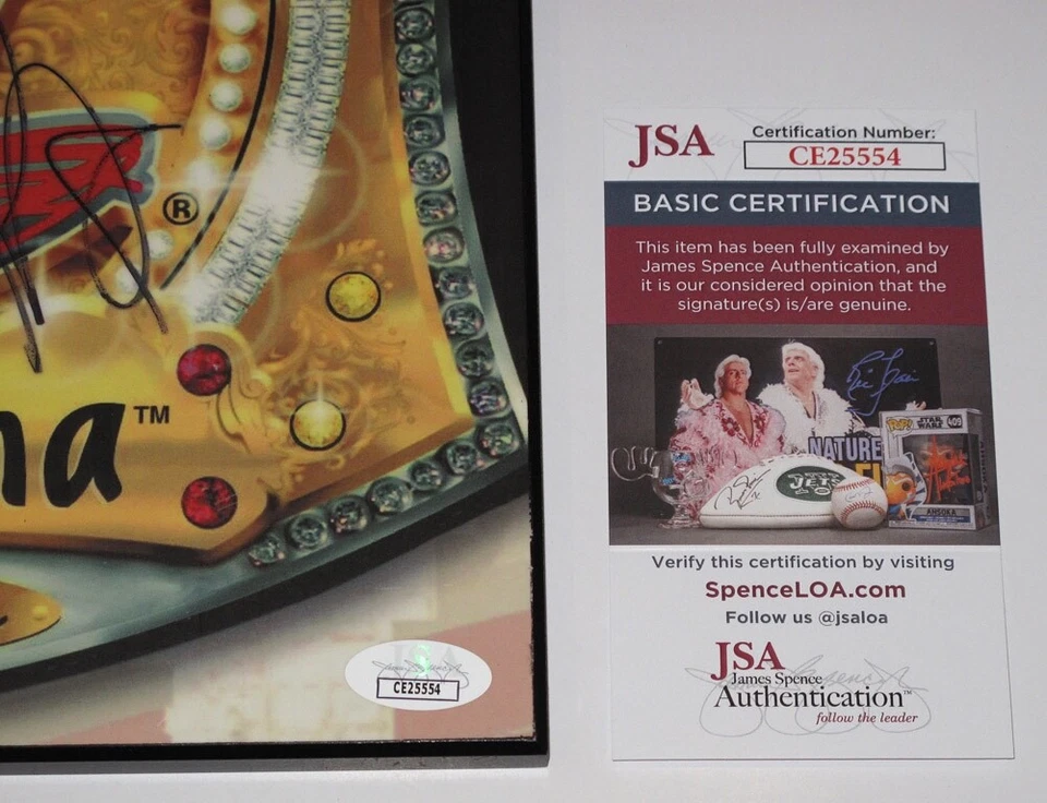 Placa de álbum firmada por John Cena & Tha Trademarc WWE "YOU CAN'T SEE ME" JSA rara Foto 3 de 4