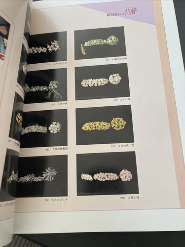 Kyōmaiko (Japanese Edition) - Picture 6 of 9