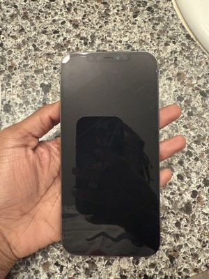 iPhone 12 Pro Max
