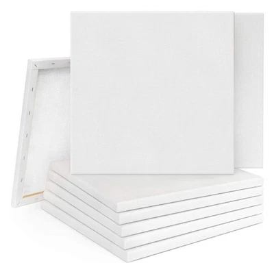 20PCS Blank Artist Canvas Art Board Plain Painting Stretched Framed for Painting