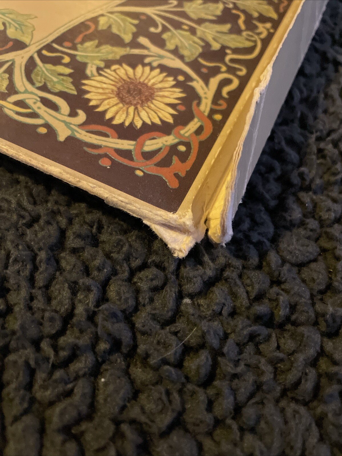 Picture 4 of 18