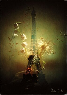 CPM PARIS 7e - La Tour Eiffel (83536)