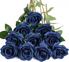 Imagen 10 de 13