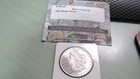 1896-P MORGAN SILVER DOLLAR    CHOICE BU   UNCIRCULATED ~ Littleton coin co.