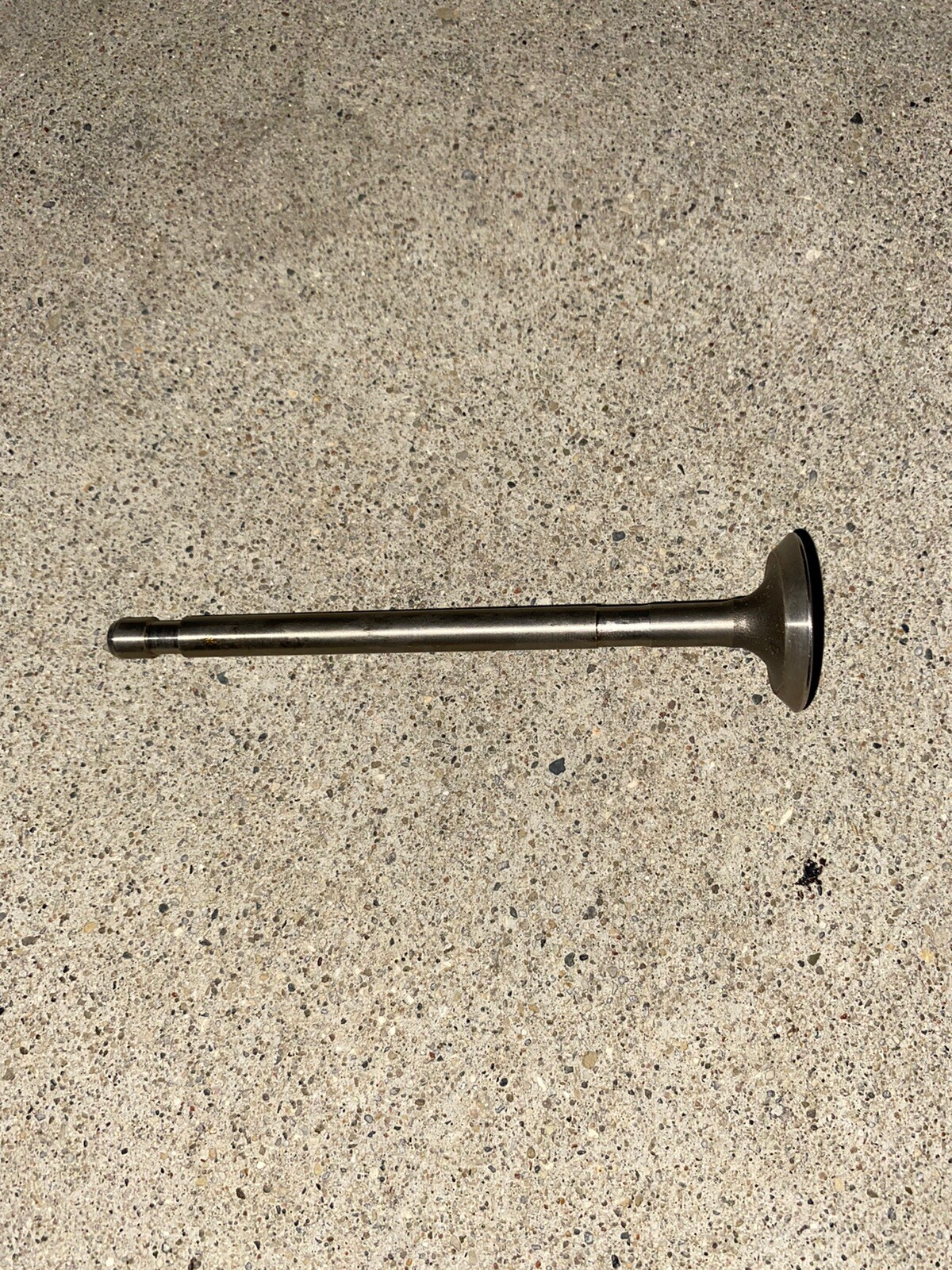 Genuine Briggs & Stratton Exhaust Valve 23631 for sale online eBay