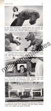 1936 Dinosaur Triceratops, Tyrannosaurus, Brontosaurus Original Sinclair Oil ad