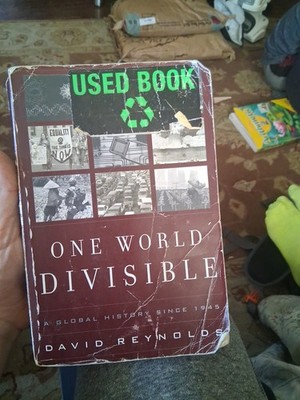 One World Divisible: A Global History Since 1945 by David Reynolds
