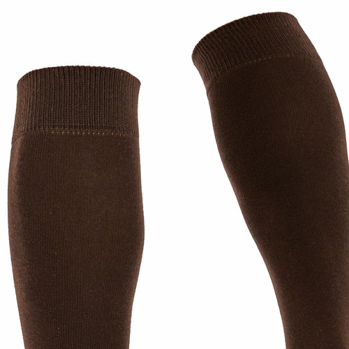 Mysocks Unisex Knee High Socks Plain, Combed Cotton, Seamless Toe - Picture 17 of 62