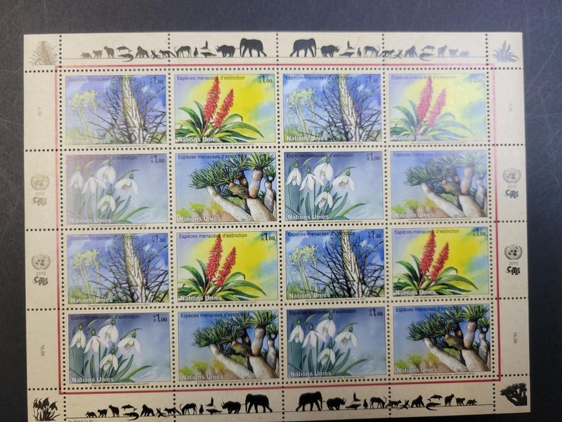 UN NY 1002A Geneva 516A Vienna 468A 2010 Endangered Plants MNH Sheets