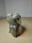 Foto 6 di 11