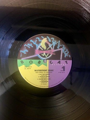 Waterfront Home - New Breed Of Mermaid 1984 LP Record BOBBY ORLANDO 80’s DANCE - Picture 3 of 4