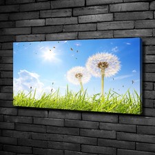 Tulup Canvas Print Wall Art 100x50 - dandelions