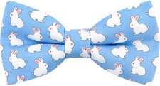 Cute Pattern Pre-tied Bow Tie Adjustable Bowties for Adult  Children