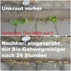 Bild 2 von 2