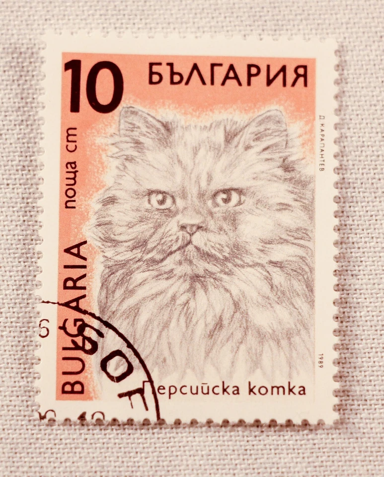 1989 Bulgaria Domestic Cats definitive six stamps cancelled various denomination - Image 4 of 4