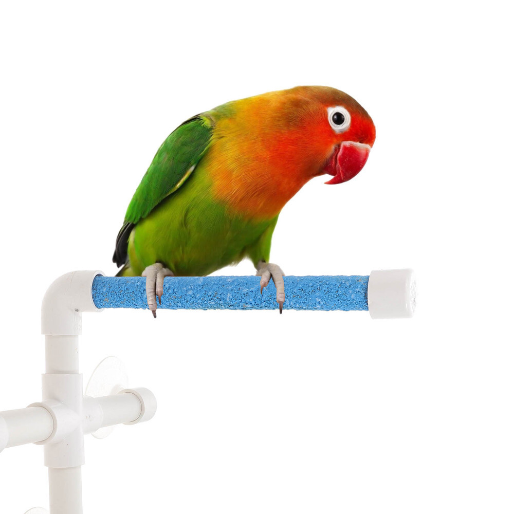 Toy Strong Plastic Portable Bathing Bird Perches Parrot Paw Grinding