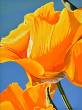 Alex Nizovsky — CALIFORNIAN POPPY #3 — Modern / Pop Art Floral Painting 18"x24"