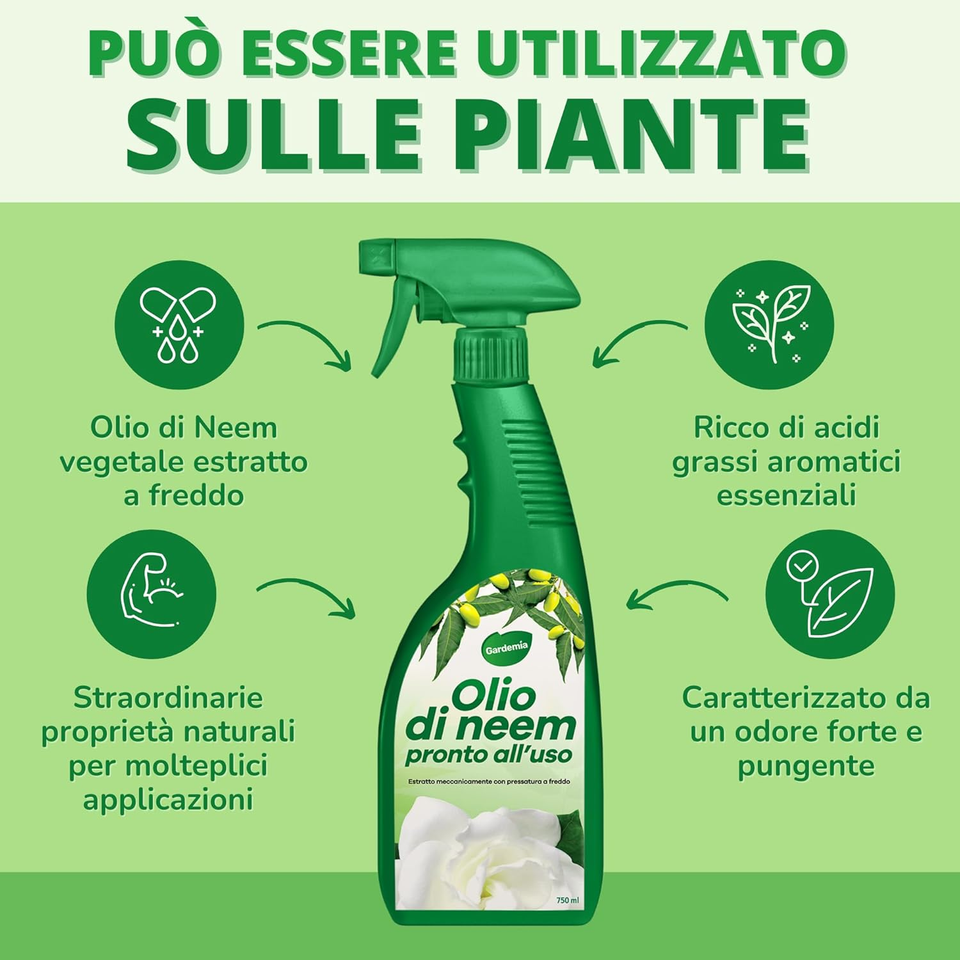 Yardwe Vaporizzatore In Vetro Per Piante: La Pompa A Mano Che Le Tue Felci Aspettavano - 3