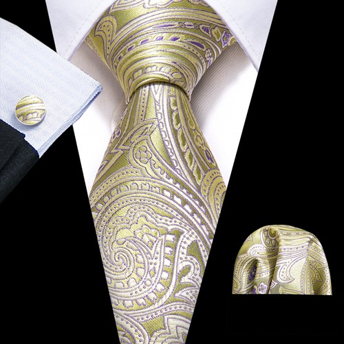 200 Color Mens Ties Paisley Striped Floral Solid Silk Tie Necktie Set Wedding - Imagen 111 de 246